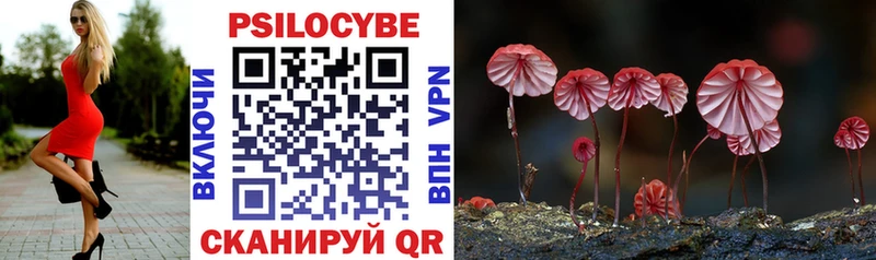 omg вход Урус-Мартан Галлюциногенные грибы MAGIC MUSHROOMS